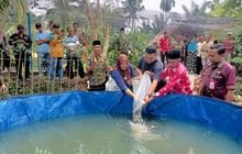 Belanti Asri Nan Eksotik Wisata Desa Empat Negeri Diresmikan Bupati Batu Bara