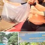 5.000 Bibit Ikan Gurami dan Nila Ditabur ke Sungai Deli