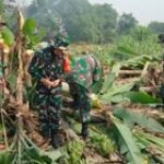Anggota Kodim 0201/ Medan Babinsa Koramil 0201-01/MP Bergotong Royong Membantu Normalisasi Sungai Deli di Medan Labuhan
