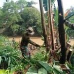 Serka RM. Hutapea dan Tim P3SU Koramil 0201-02/MT Bersatu dalam Gotong Royong untuk Revitalisasi Sungai Deli di Medan Labuhan