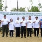 Pulihkan Hutan Mangrove, Pemprov Sumut Tanam 10 Ribu Bibit Mangrove