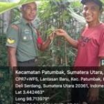 Babinsa Serka Wilopo Terinspirasi Kreativitas Kadus Patumbak Satu dalam Menanam Kacang Panjang