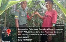 Babinsa Serka Wilopo Terinspirasi Kreativitas Kadus Patumbak Satu dalam Menanam Kacang Panjang