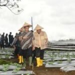 Pj Gubernur Sumut Optimis Dairi Bisa Jadi Lumbung Pangan