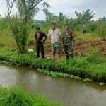 Ketapang Desa Tandam Hulu II Melalui Program BUMDES: Peternakan Ikan Lele Menyapa Dusun 9 Tanjung Makmur