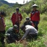 Peduli Lingkungan, Personil Kodim Mamasa Karya Bakti Melaksanakan Penghijauan Dengan Penanaman Pohon