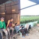 Babinsa Serda Pirman Siregar Ajak Warga Manfaatkan Lahan Nganggur