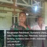 Patumbak Satu Bergeliat dalam Bisnis Peternakan Jangkrik, Babinsa Serka Wilopo Membantu Warga Beternak Jangkrik