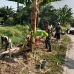 Babinsa 0201-12/HP Sertu Surianto Tumbuhkan Rasa Kebersamaan Dengan Gotong Royong