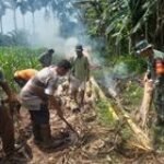 Babinsa Koramil 0201-14/PB Laksanakan Gotong Royong Bersama Warga & Perangkat Desa Pertampilan
