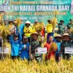 Tiga Daerah di Jatim Masuki Panen Raya Serentak