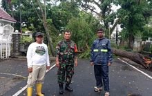 Babinsa Koramil 0201-05/MB Bantu Evakuasi Pohon Tumbang Di Jl. RA Kartini