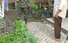 Babinsa Bantu Atasi Kesulitan Warga Dengan Program Ketahanan Pangan