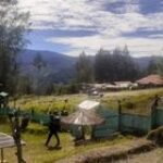 Apkam Gabungan TNI -Polri Gerak Cepat Rebut Homeyo Intan Jaya