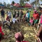 Perkenalan dengan Masyarakat Intan Jaya, Satgas Yonif 509 Kostrad Laksanakan Bakar Batu