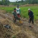 Babinsa Serka Rokhmad Monitoring Petani Semai Benih Padi Dusun 5 Desa Dalu XB