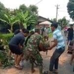 Babinsa Serka Kusmiono Bersama Warga Gotong Royong Singkirkan Pohon Tumbang Dari Badan Jalan Desa Klambir V
