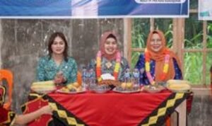 Pj Ketua PKK Sumut Ajak Masyarakat Senantiasa Manfaatkan Posyandu