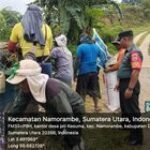 Babinsa Koramil 14/PB Bantu Petani Panen Padi di Desa Jati Kesuma untuk Dukung Swasembada Pangan