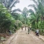 Satgas Kodim 0204/DS Terus Benahi Outlook Badan Jalan TMMD