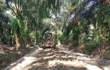 Buka Akses Jalan Pertanian, TMMD 121 Kodim 0204/DS Hidupkan Asa Petani Sawit di Desa Rumah Sumbul