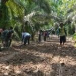 Pantang Pulang Sebelum Rampung, Itu Tekad Warga Membantu Kegiatan TMMD