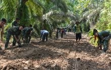 Pantang Pulang Sebelum Rampung, Itu Tekad Warga Membantu Kegiatan TMMD