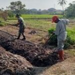 Babinsa Koramil 0201-10/MM Mendukung Ketahanan Pangan dengan Membantu Petani di Medan Labuhan