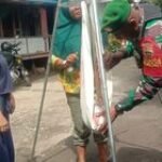 Babinsa Sertu Harsoyo Terlibat dalam Kegiatan Posyandu di Kelurahan Pekan Labuhan