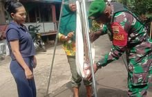 Babinsa Sertu Harsoyo Terlibat dalam Kegiatan Posyandu di Kelurahan Pekan Labuhan