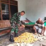 Babinsa Selo Tumbuhkan Semangat dan Motivasi Petani Jagung
