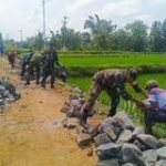 Gotong Royong Babinsa dan Warga Bangun Talud, Wujudkan Impian Sawah Subur