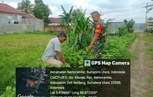 Babinsa Koramil 14/PB Berikan Motivasi kepada Petani Jagung di Desa Gunung Kelawas