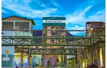 TPL Sektor Simalungun Siapkan Lahan Bibit Eukaliptus, Belasan Oknum Diduga Mengganggu Operasional Masuki Kawasan Konsesi