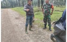 Babinsa Koramil 0201-16/TM Serka Faisal Pasaribu Bersama Elemen Masyarakat Jalin Komunikasi Sosial di Desa Sei Merah