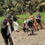 Edukasi Pertanian, Babinsa Koramil 04/Tigalingga Bersama PPL Dampingi Kelompok Tani di Desa Tualang