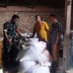 Babinsa Koramil 04/Tigalingga dan Perangkat Desa Kunjungi Kilang Padi Lit Gunana untuk Monitoring Harga Gabah dan Beras