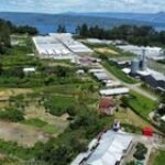 Satgas Pertiban Kawasan Hutan di Sumut, WKI Minta Cabut Izin & Segel PT Algerindo Nusantara