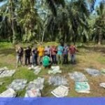 Bea Cukai Aceh dan Polri Lakukan Penindakan 188 kg Narkotika di Aceh Tamiang