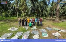 Bea Cukai Aceh dan Polri Lakukan Penindakan 188 kg Narkotika di Aceh Tamiang