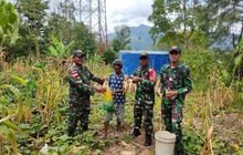 Satgas Pamtas RI-RDTL Sektor Barat Yonarhanud 15/DBY Pos Manusasi Melaksanakan Panen Jagung Bersama Warga Masyarakat