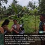 BABINSA DAN PETUGAS PERTANIAN MENYAMBANGI SAWAH SEBAGAI WUJUD PEDULI TERHADAP PETANI