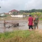 Percepat Masa Tanam, Babinsa Serka S Munawar Dampingi Petani Bantu Bajak Sawah Dukuh Gandurejo