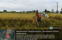 BABINSA DESA JATI KESUMA DAMPINGI PETANI DALAM PANEN PADI