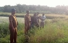 Babinsa Koramil 0201-16/TM Dampingi Pasi Ter Kodim 0201/Medan dan Dinas Pertanian dalam Pembuatan Oplah Irigasi di Desa Naga Timbul