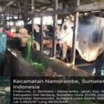 ANJANGSANA DENGAN PETERNAK SAPI, BABINSA KORAMIL 14/PB.DI DESA JATI KESUMA