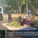 Manfaatkan Waktu, Babinsa Komsos Dengan Petani Jagung