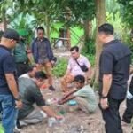 Satuan Unit Intel Kodim 0201/Medan Kembali Gerebek Sarang Narkoba di Kecamatan Medan Marelan