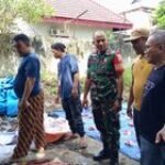 Babinsa Koramil 0201-01/MP Serda Chalidin Melaksanakan monitoring Penyembelihan hewan Kurban di wilayah binaan