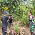 BABINSA KORAMIL 14 / PB MELAKSANAKAN GOTONG ROYONG BERSAMA MAHASISWA - MAHASISWI KKN UNIMED DI JALAN KANTOR DESA